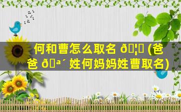 何和曹怎么取名 🦈 (爸爸 🪴 姓何妈妈姓曹取名)